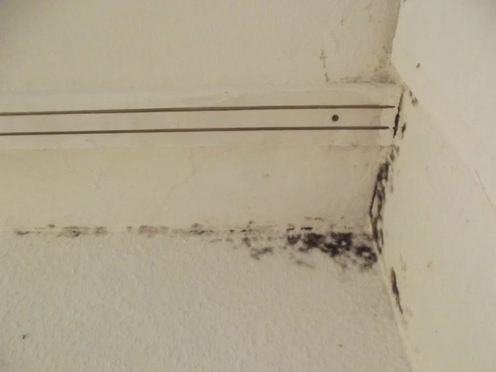 Technician in protective gear removing a mold-damaged wall in an Islip home